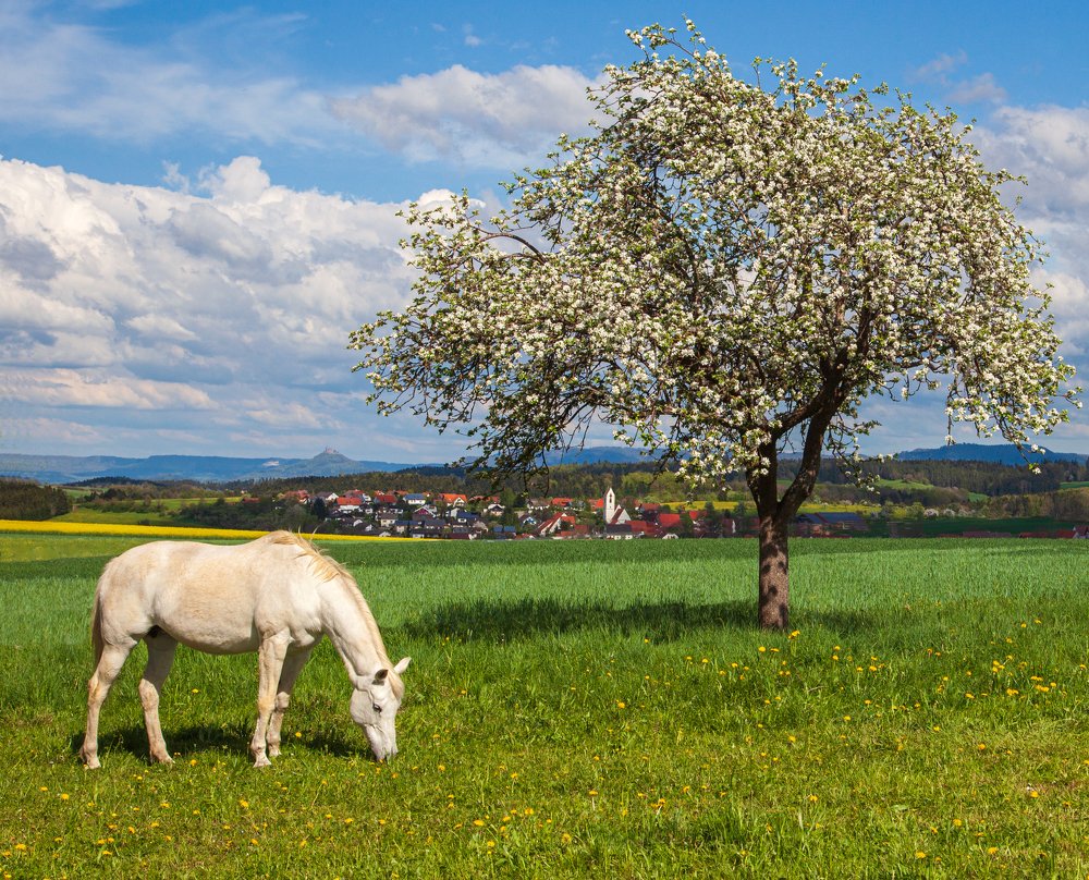 Был месяц май.