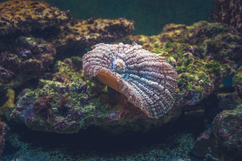 Photograph by Светлана Гонская