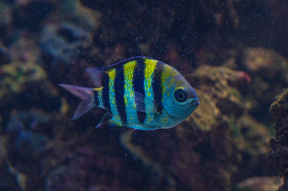 Photograph by Светлана Гонская