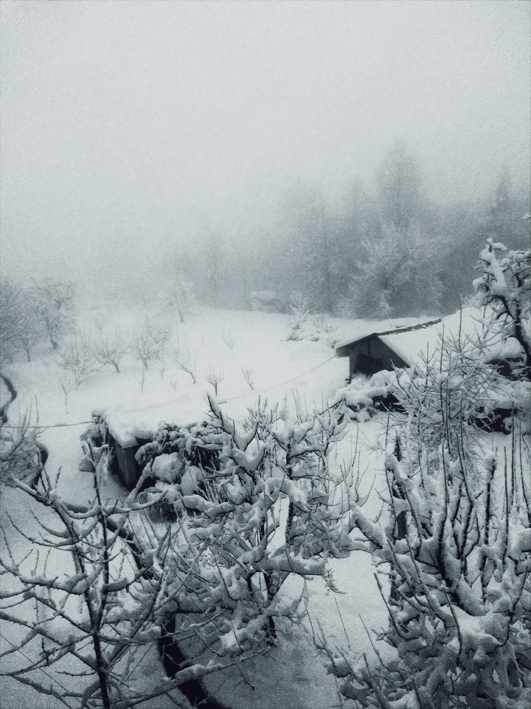 Photo #5344799