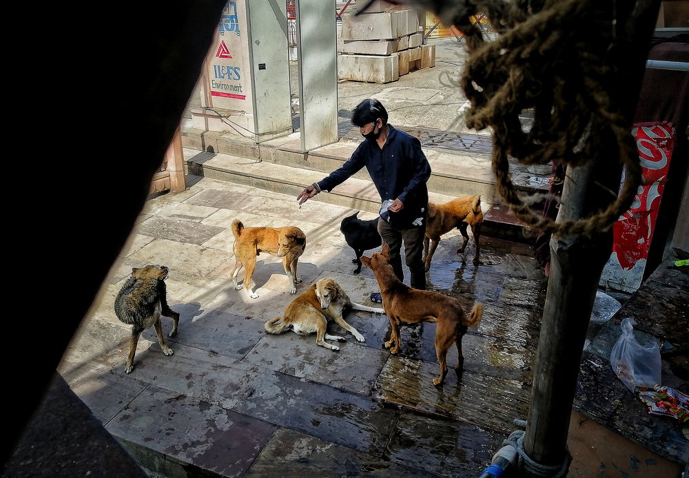 Photograph by DHIRAJ GOSWAMI