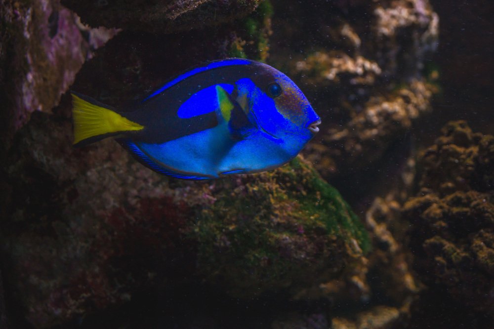 Photograph by Светлана Гонская