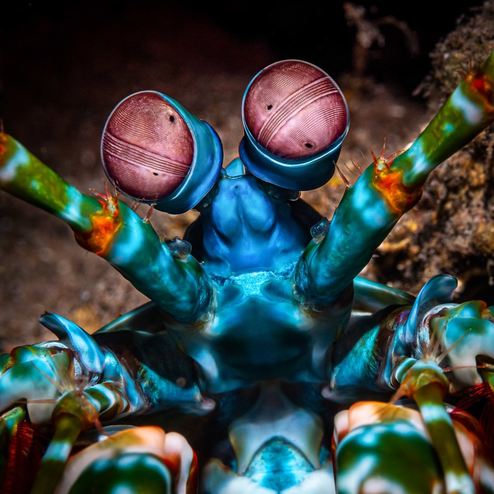 Photograph by Андрей Савин