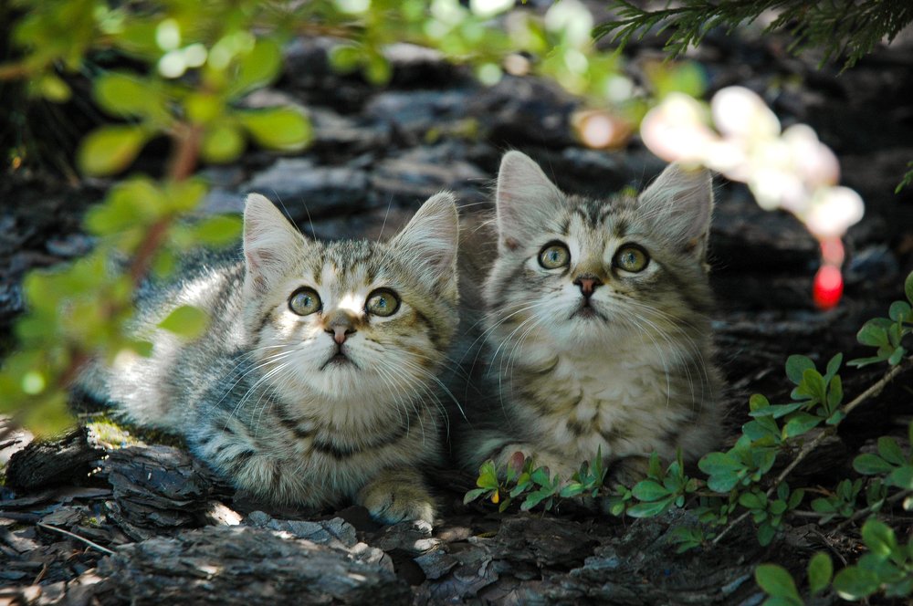 Photograph by Нелли Сидоренко