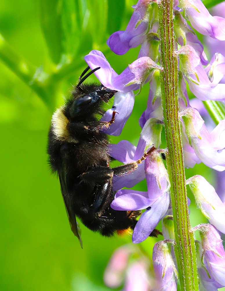 Photograph by Алексей Герасимов