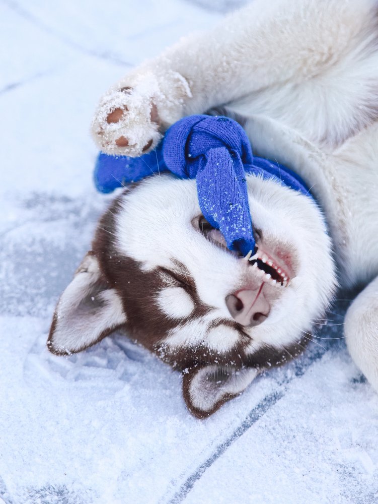 Photograph by Дарья Скотяк