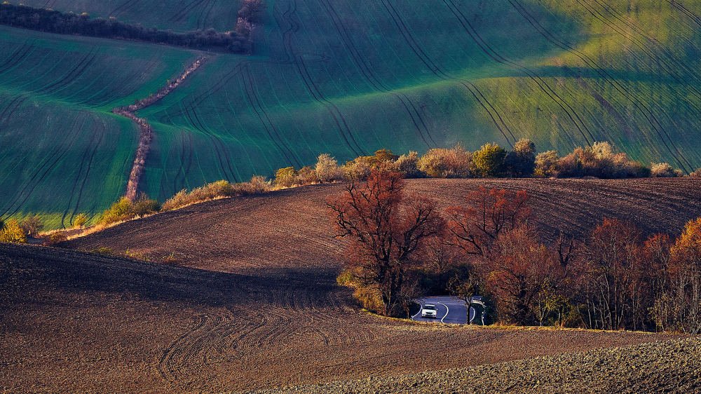 Photograph by Пётр Дедковский