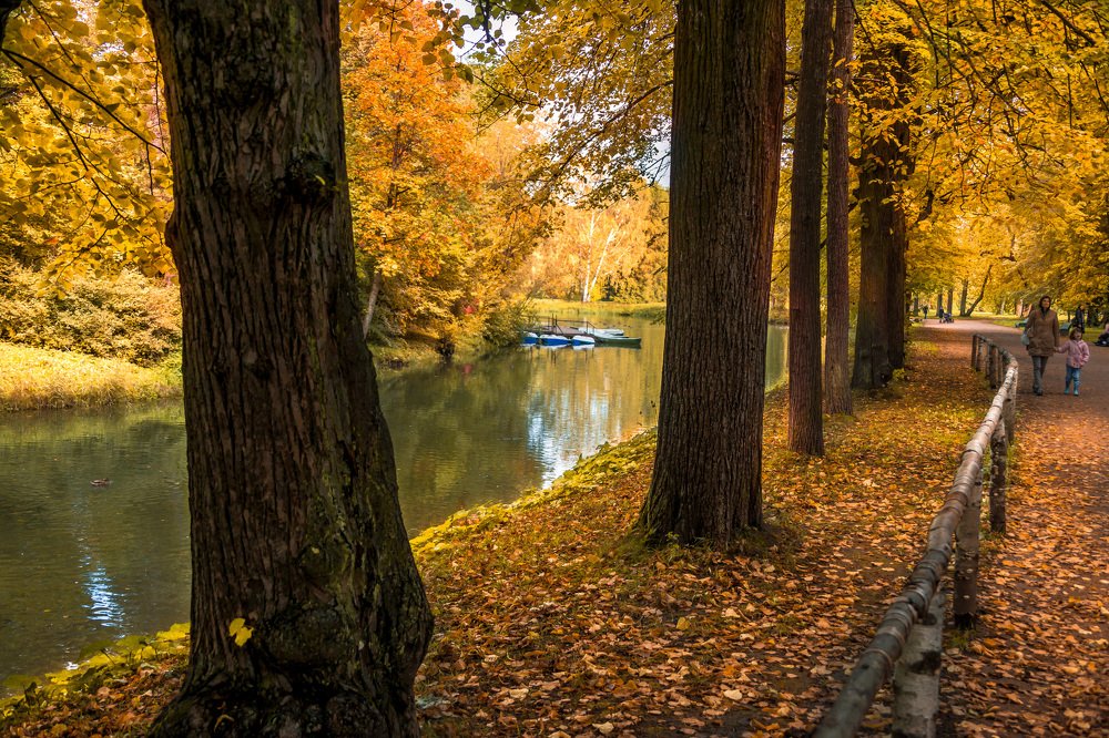 Photograph by Светлана Гонская