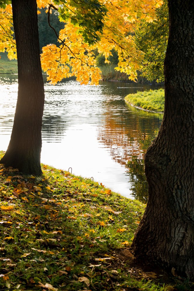 Photograph by Светлана Гонская