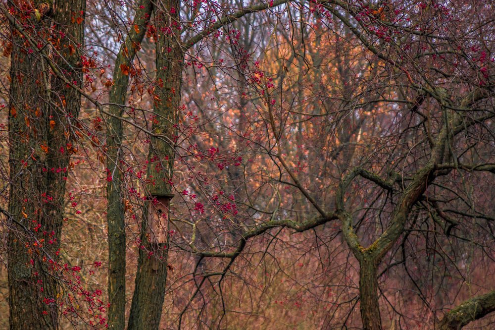 Photograph by Светлана Гонская