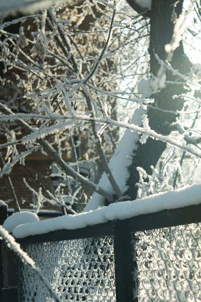 Photograph by Елена Кудейкина