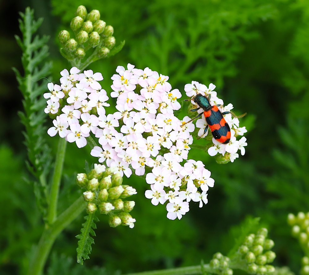Photograph by Алексей Герасимов