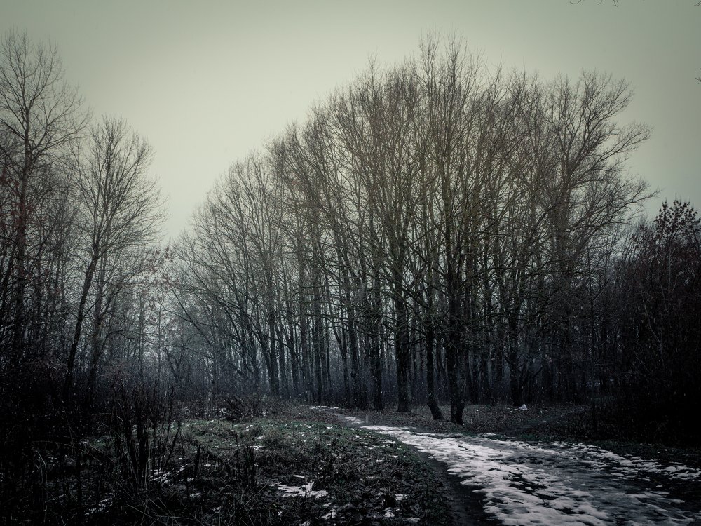 Photograph by Зайков Сергей