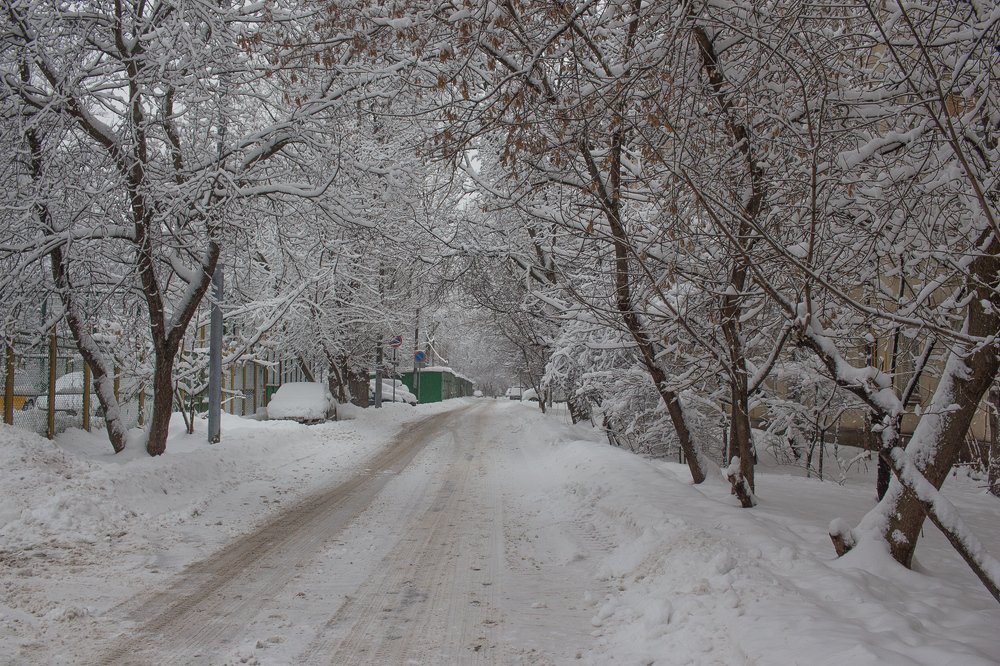 Улица, улица, улица родная