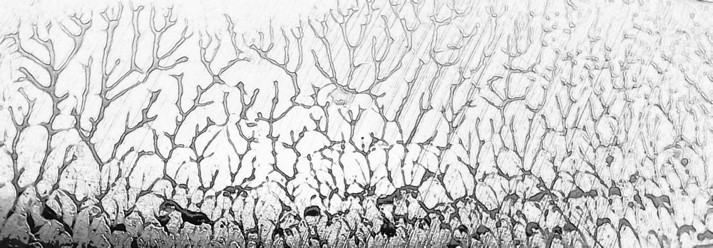 Photograph by Марина Игнатьева