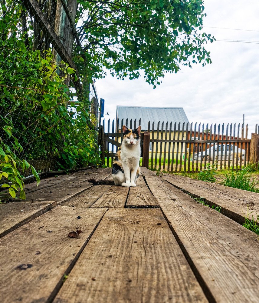 Photograph by Светлана Перминова