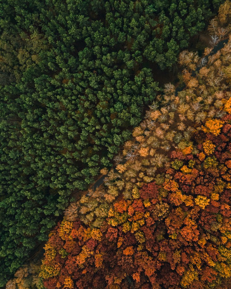 Photograph by Евгений Белан