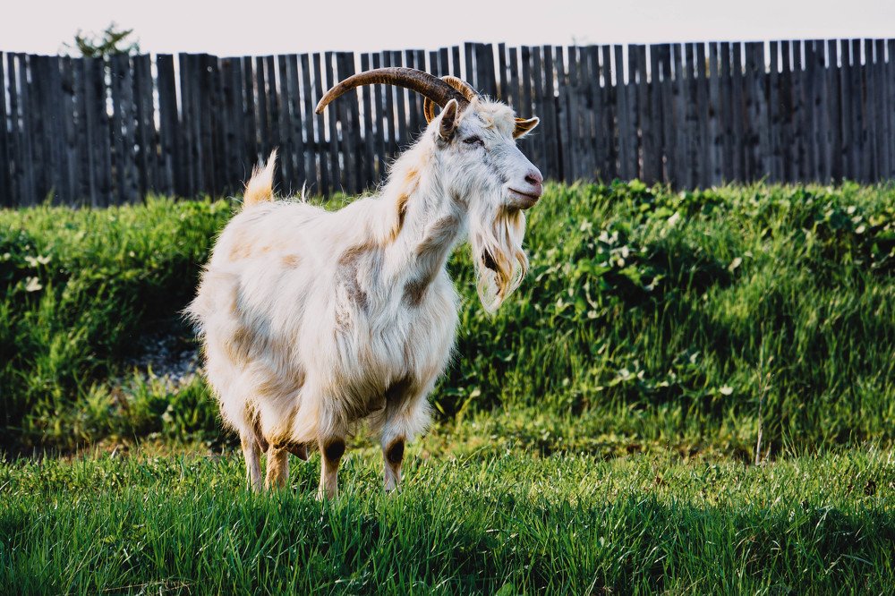 Photograph by Светлана Перминова