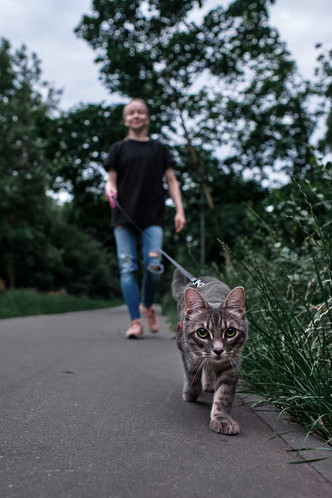 Photograph by Пётр Дедковский