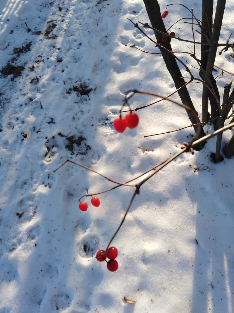 Photograph by Татьяна Ситникова