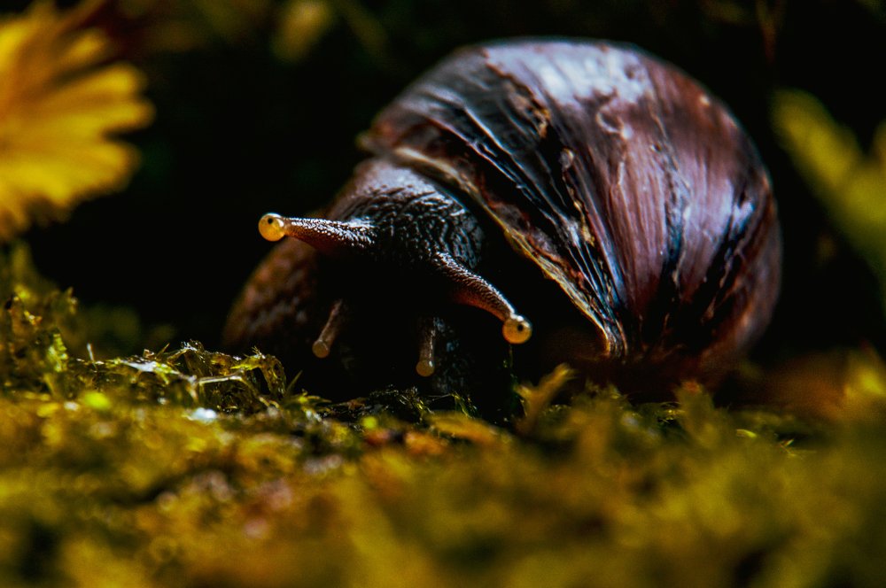 Photograph by Светлана Перминова