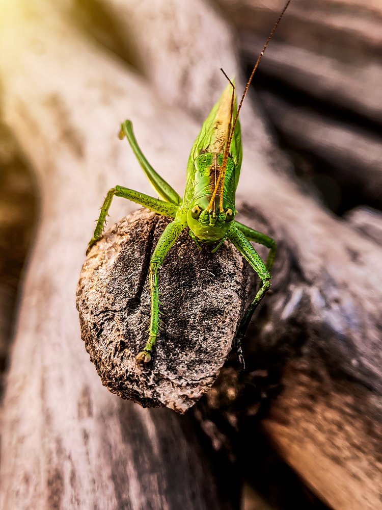 Photograph by Светлана Перминова