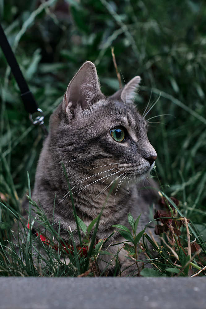 Photograph by Пётр Дедковский