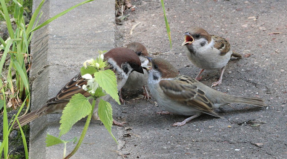 Photograph by Алексей Герасимов