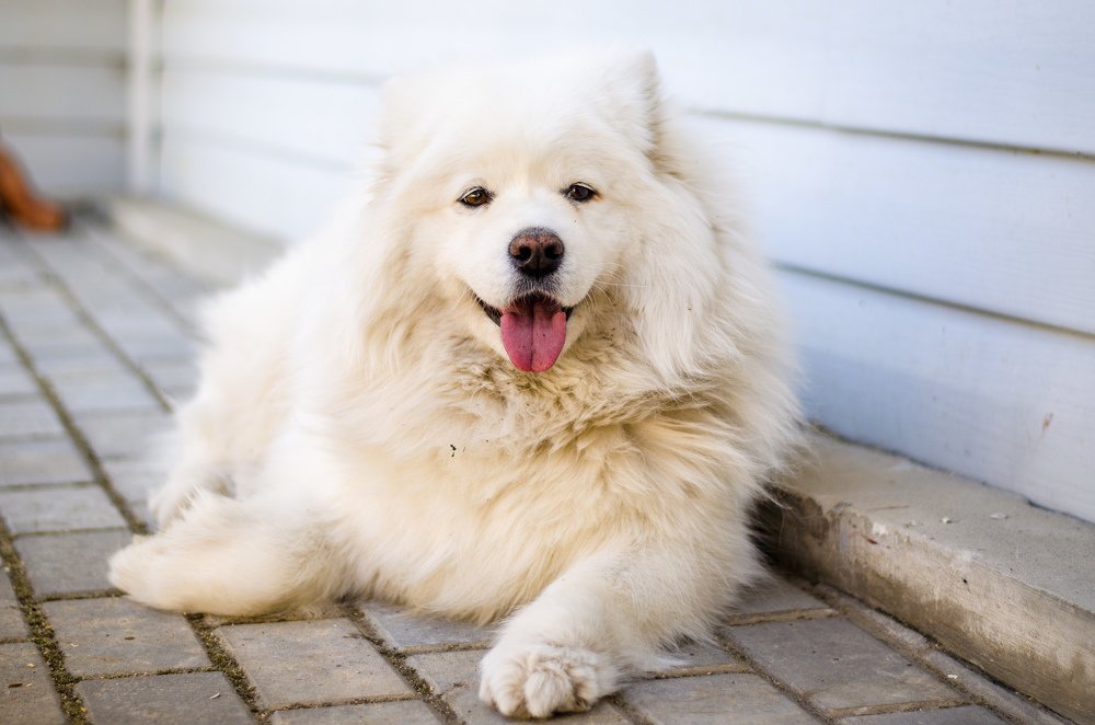 Photograph by Виктор Карпов