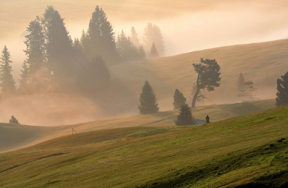 Photograph by Elena Turkov