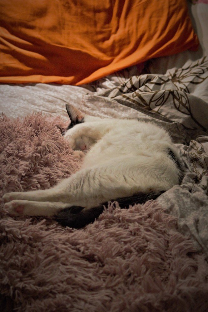 Photograph by Александра Баранова