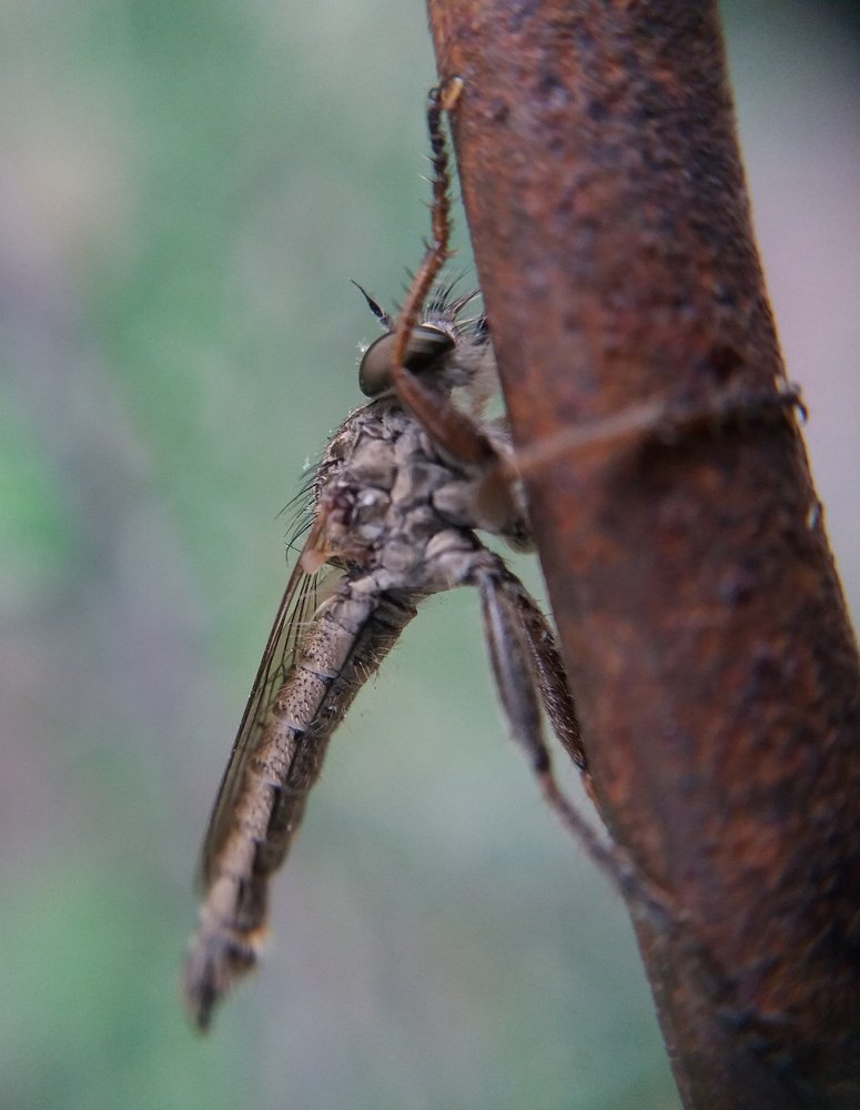 Photograph by Kapil Singh