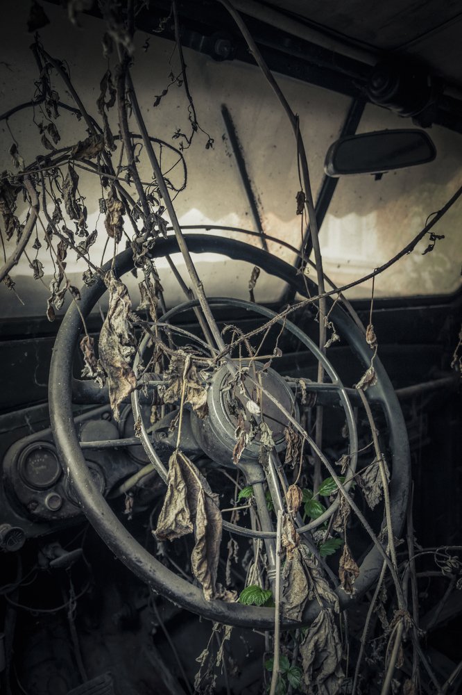 Photograph by Алексей Стариков