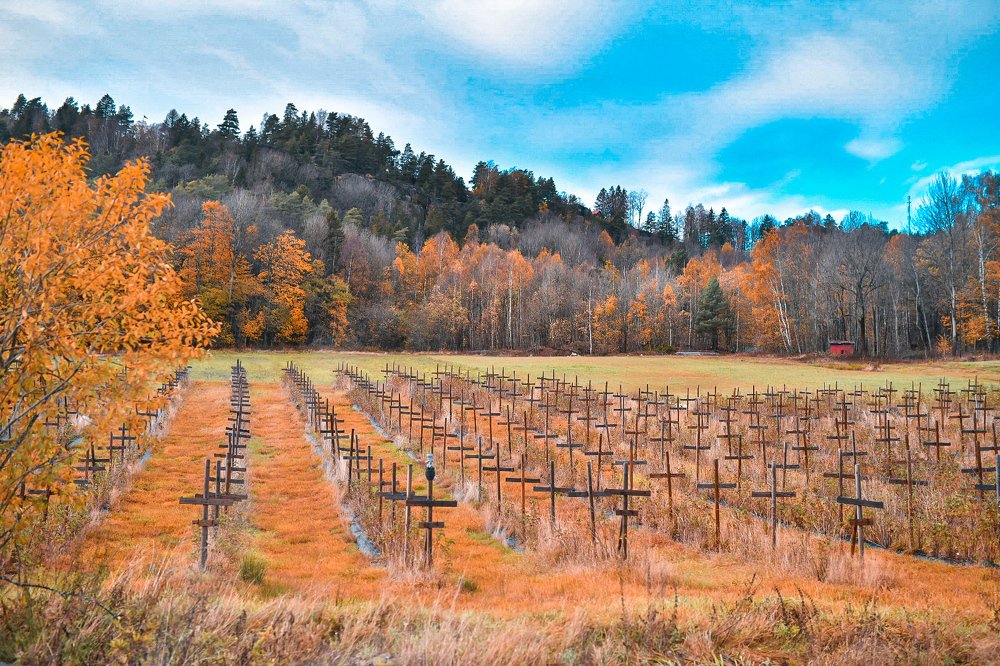 Фотография автора Anna NovaLova