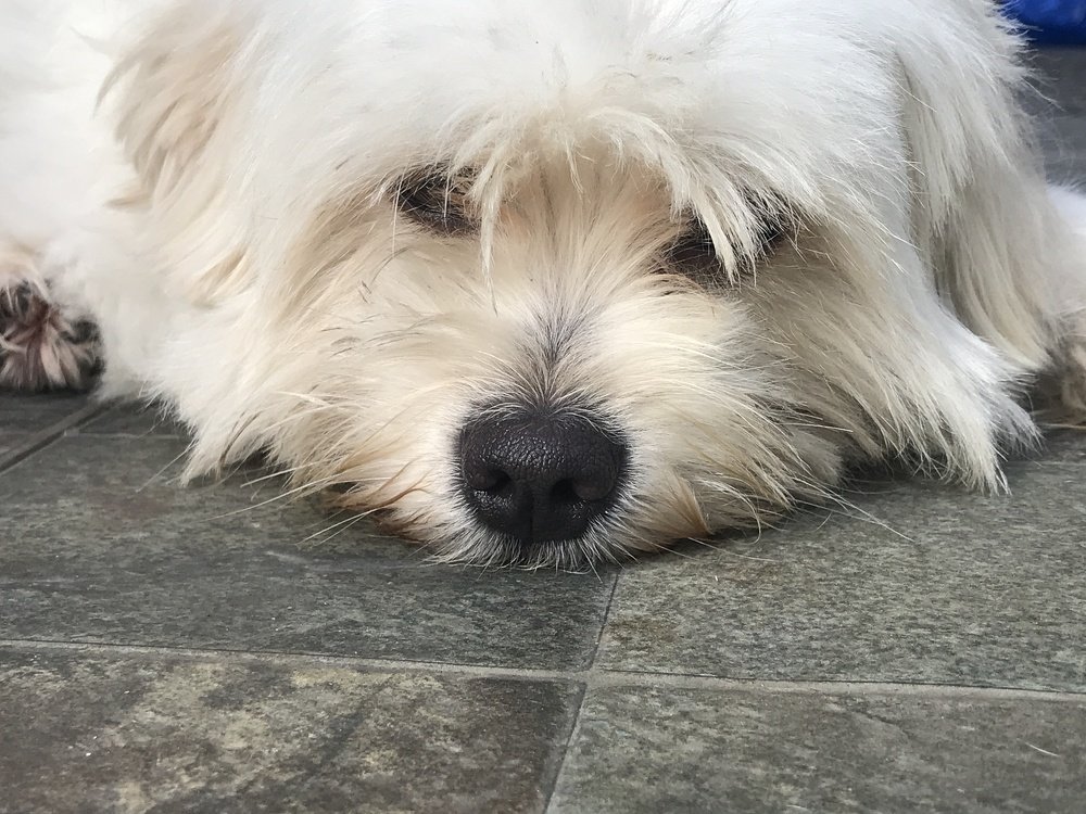 Photograph by AUSTIN REX LOBATON