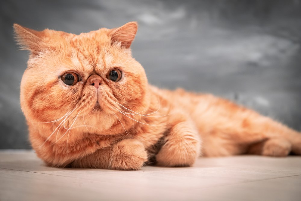 Photograph by Людмила Казак