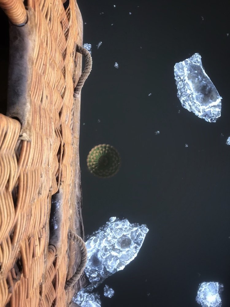 Photograph by Елена Хорошильцева