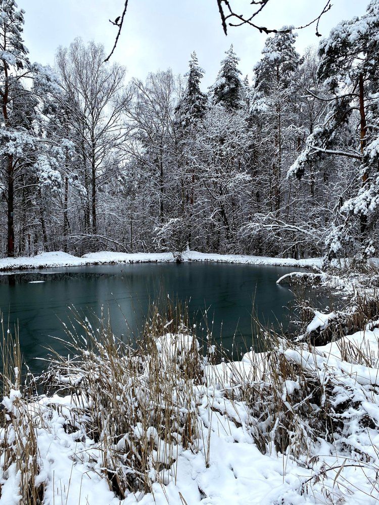 Photograph by Елена Хорошильцева