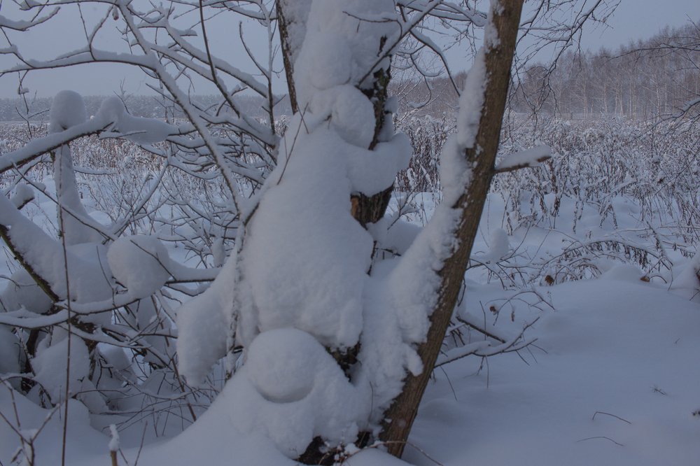 Снежные человечки
