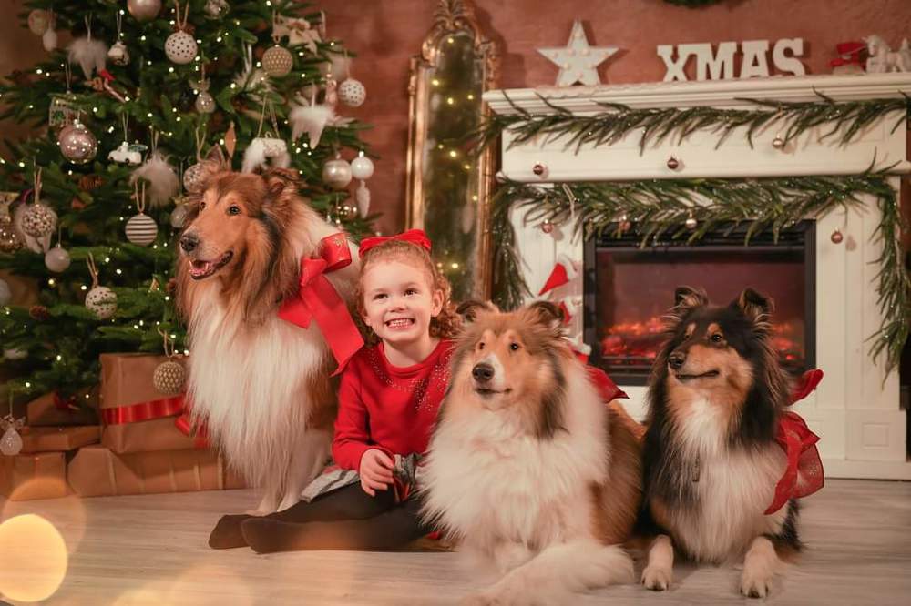 Фотография автора Anna NovaLova