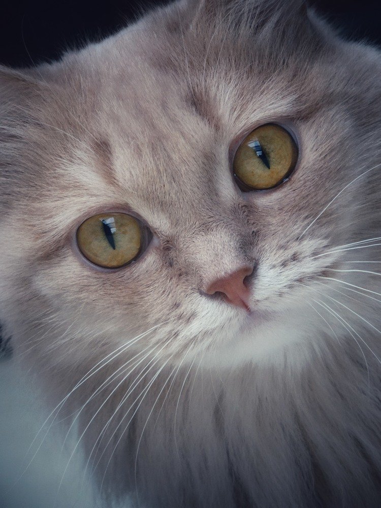 Photograph by Светлана Лехмус