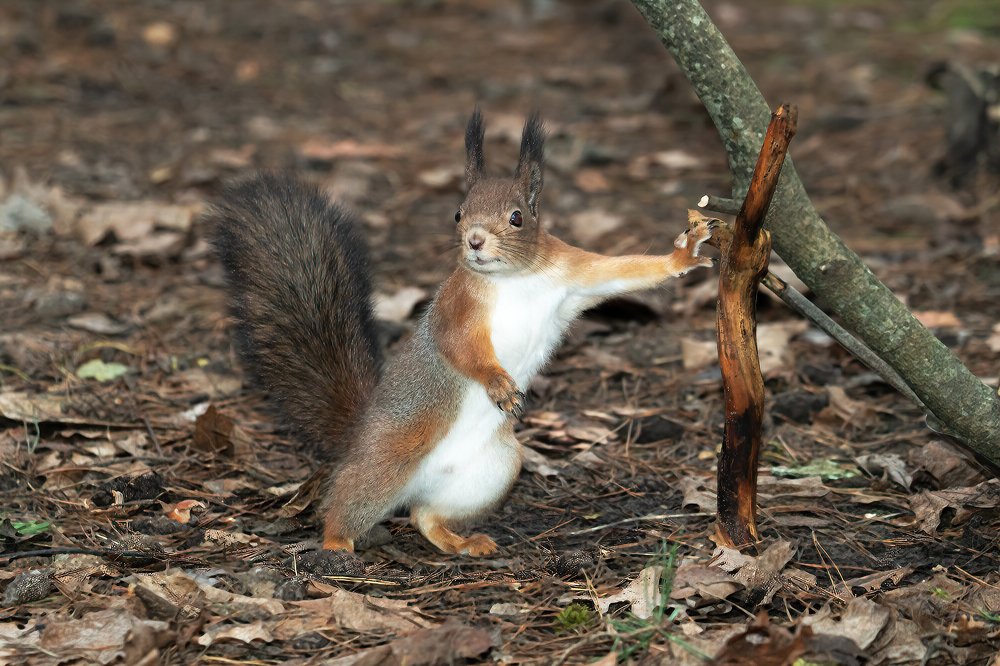 Photograph by Viktor Makarov