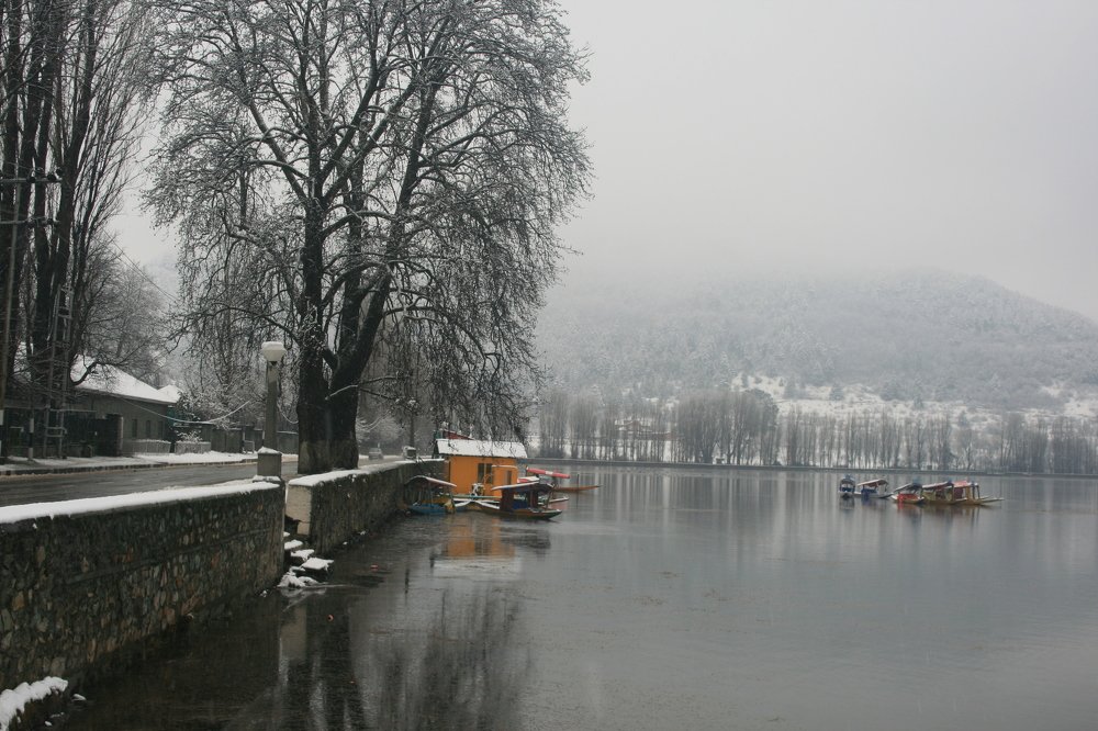 Photograph by Mahmud Anwar Alnasir