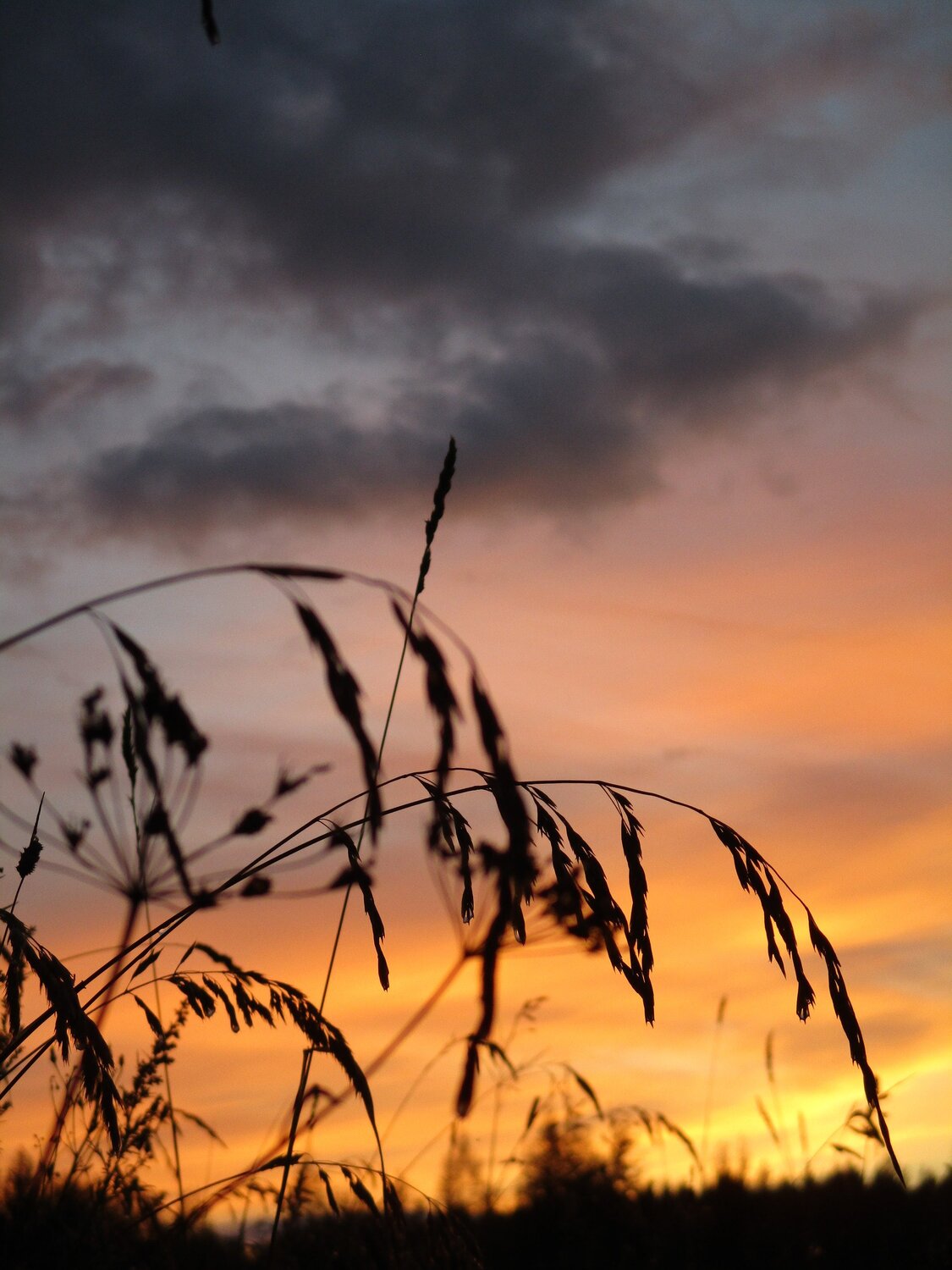 Photo #5345396
