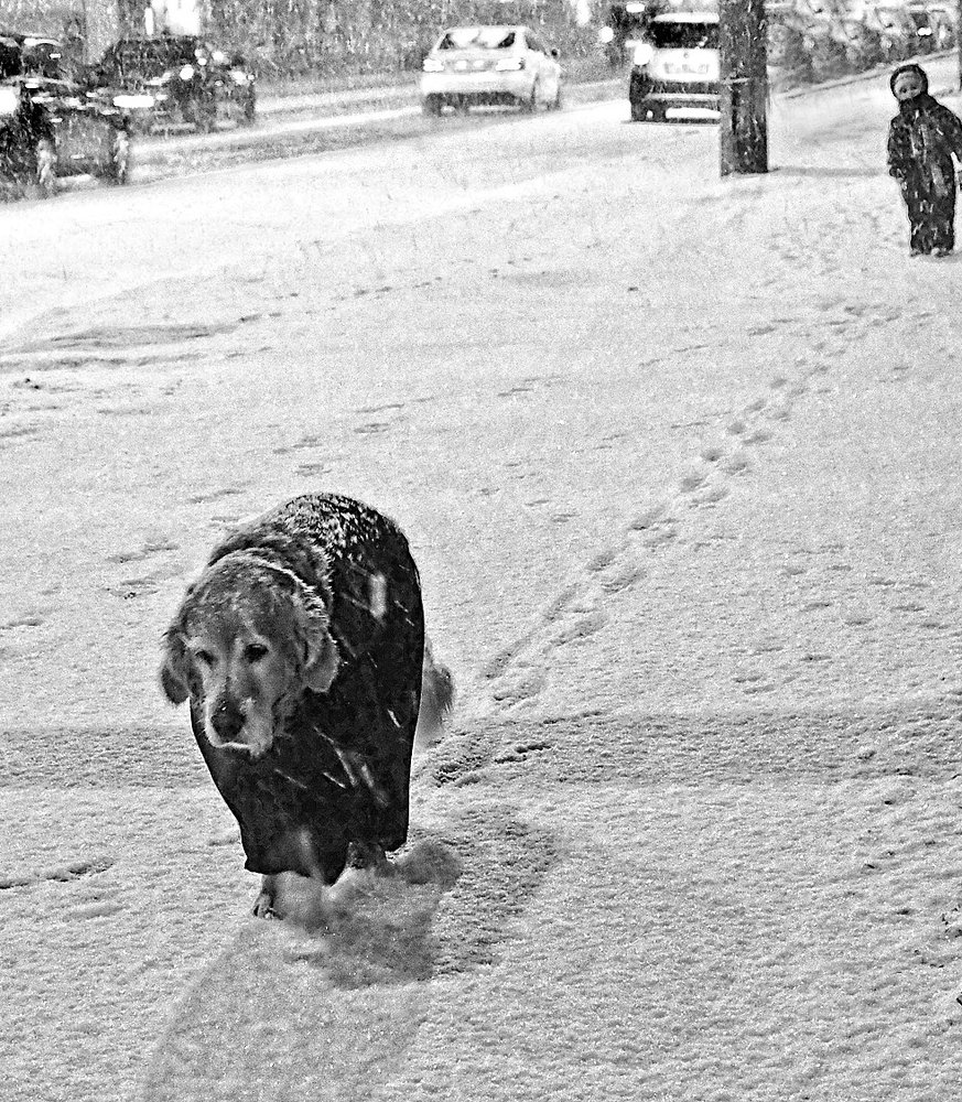 Фотография автора Ольга Виноградова