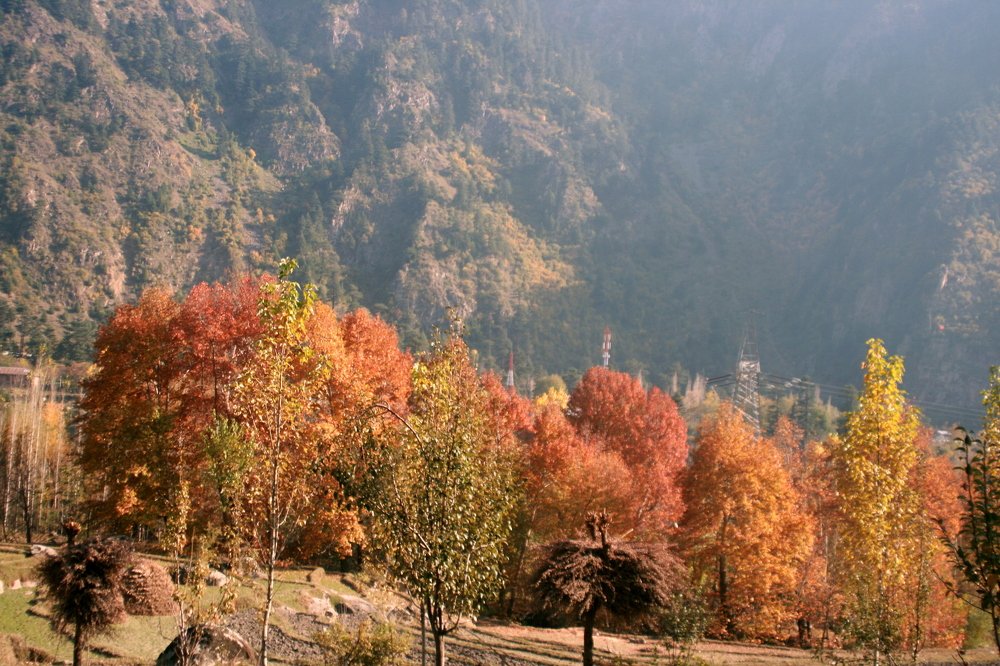 Photograph by Mahmud Anwar Alnasir