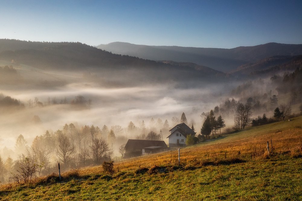 Photograph by Marcin Mirek