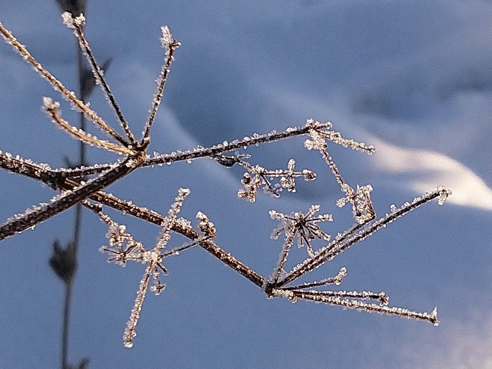 Photograph by Заира