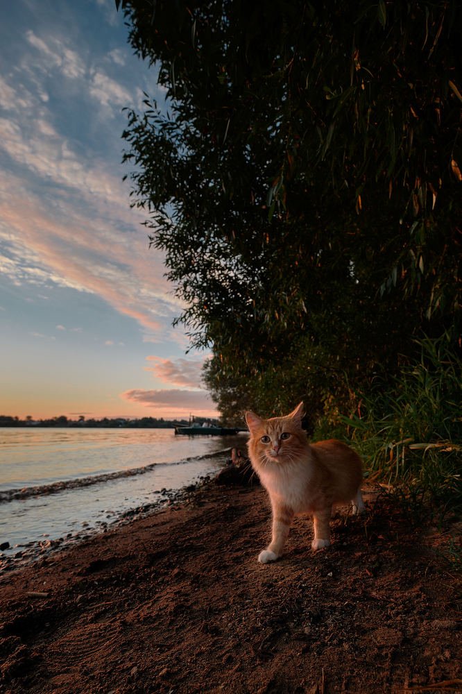 Photograph by Пётр Дедковский