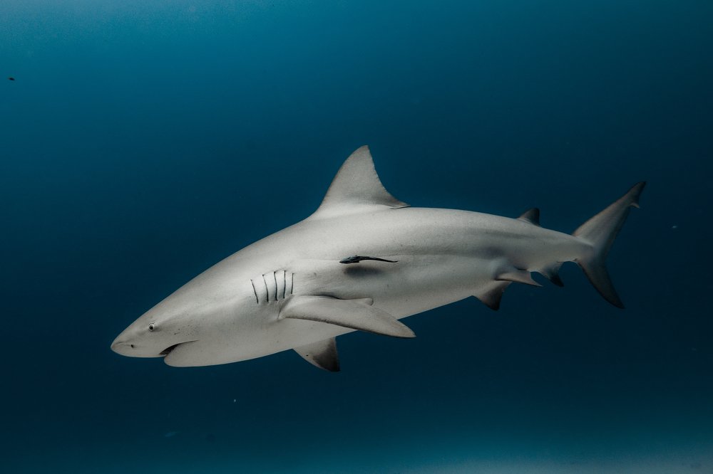 Photograph by Mizael Palomeque